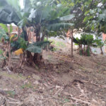 Terreno à venda em Vila Romero, São Paulo, SP