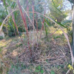 Chácara à venda em Chácara da Alegria, Jundiaí, SP