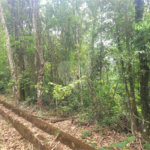 Terreno à venda no condomínio Sausalito, Mairiporã - SP