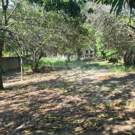 Terreno à venda no Centro, Vinhedo, SP