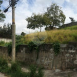 Terreno à venda em Tremembé, São Paulo, SP