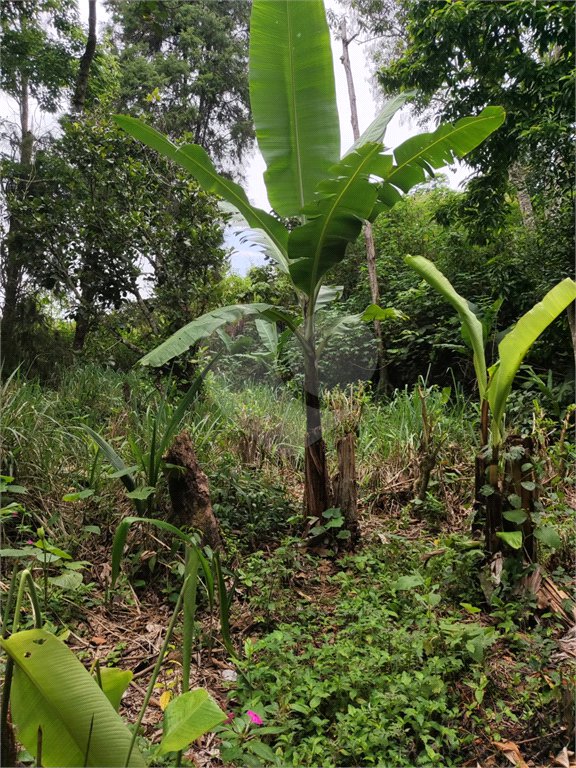Terreno à venda em Vila Moraes, Mogi das Cruzes, SP