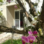 Casa à venda com 3 quartos, sendo 2 suítes, no condomínio Townhouse Village Morumbi, São Paulo - SP