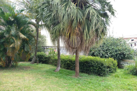 Casa à venda ou para alugar com 4 suítes em Vila Comercial, São Paulo, SP