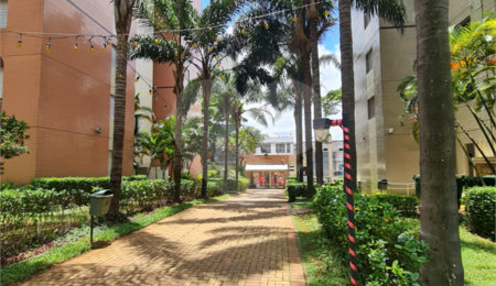 Apartamento à venda com 3 quartos, sendo 1 suíte,  em Cambuci, São Paulo, SP