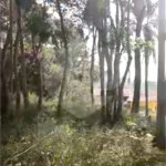Terreno à venda em Luiz Fagundes, Mairiporã, SP