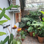 Casa para alugar com 1 quarto em Vila Leopoldina, São Paulo, SP