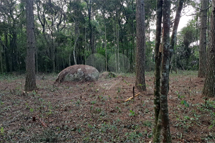 Terreno à venda em Roseira, Mairiporã, SP