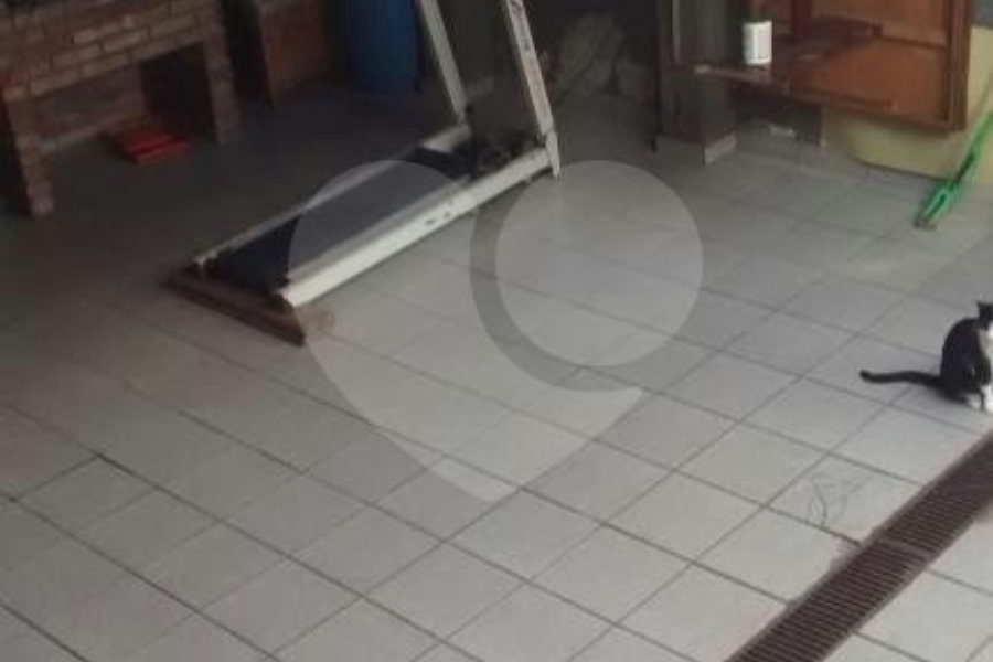Casa à venda com 4 quartos, sendo 1 suíte,  em Tucuruvi, São Paulo, SP