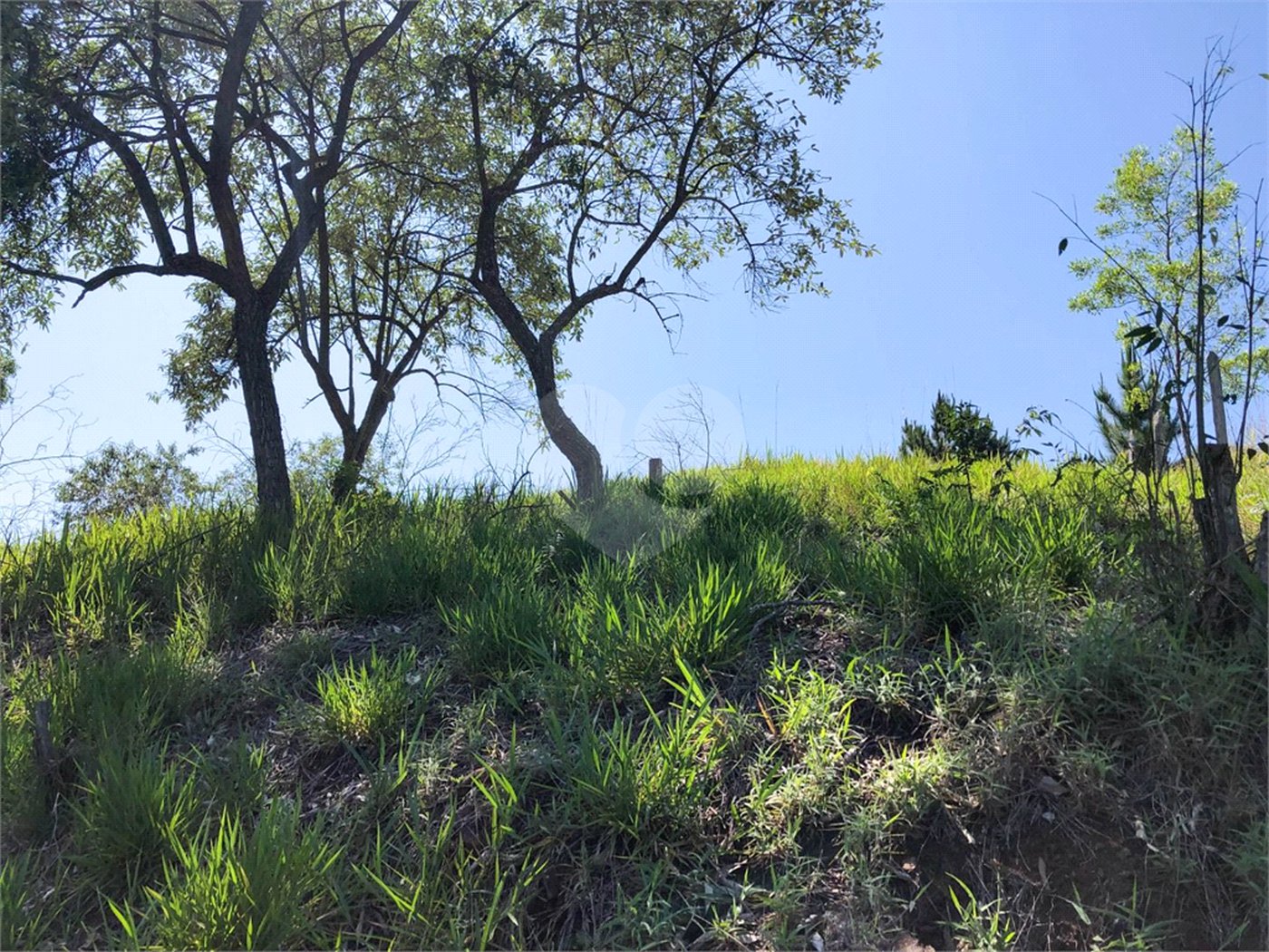 Terreno à venda em Bairro do Cambará, São Roque, SP