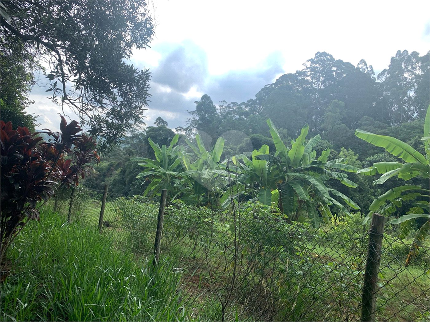 Chácara à venda em Sorocamirim (canguera), São Roque, SP