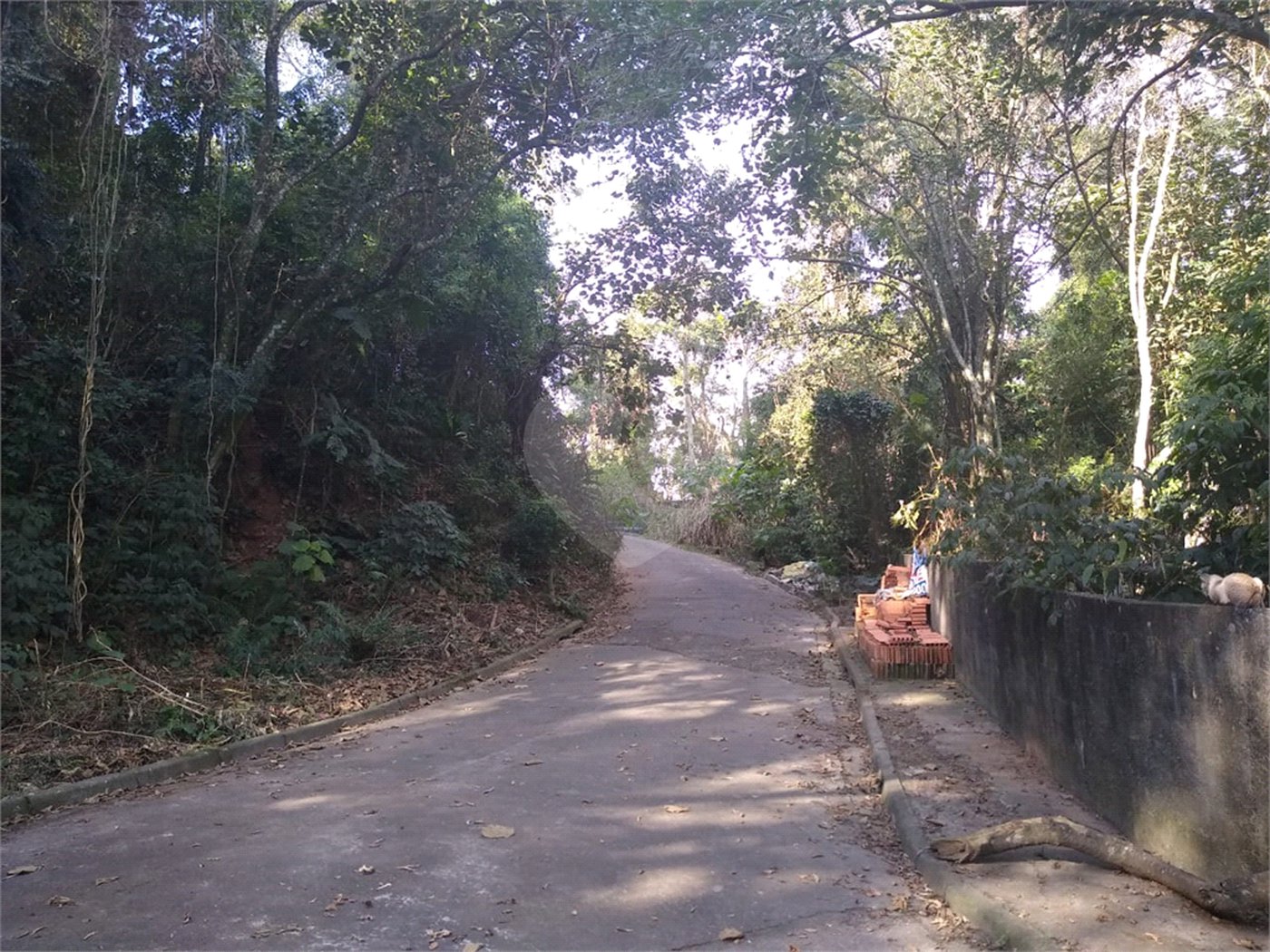 Terreno à venda em Tucuruvi, São Paulo, SP