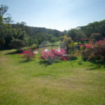 Sítio à venda em Vila Darcy Penteado (mailasqui), São Roque, SP