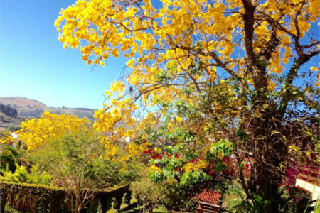 Casa Térrea à venda com 3 quartos, sendo 1 suíte, em Mirante do Cachoeira, Piracaia, SP