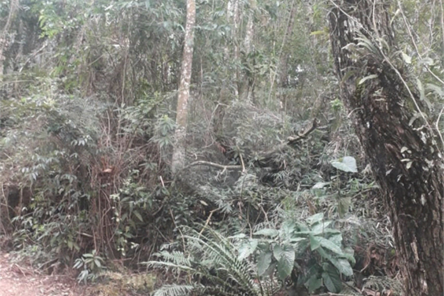 Terreno à venda em Suasalito, Mairiporã, SP