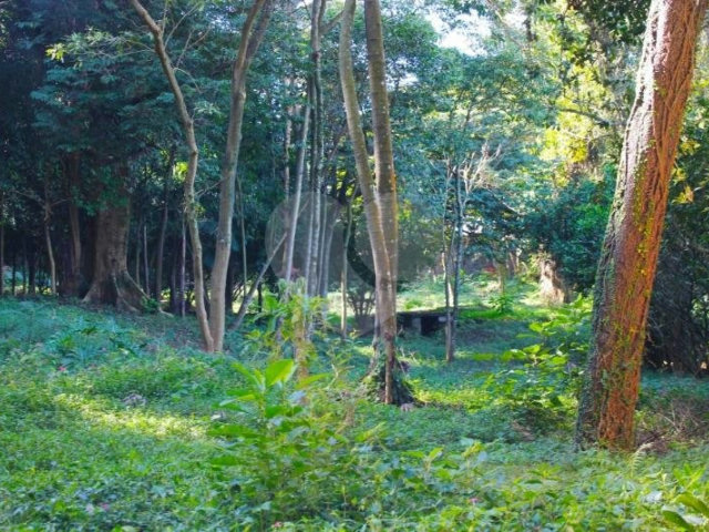 Terreno à venda no condomínio Chácara Flora, São Paulo - SP
