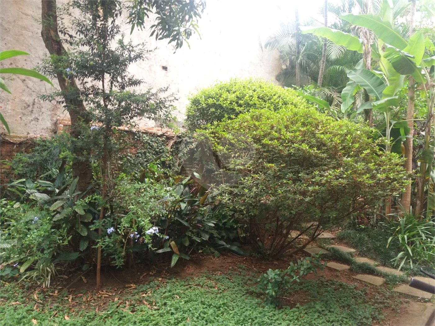 Casa à venda com 3 quartos, sendo 1 suíte, em Vila Cruzeiro, São Paulo, SP