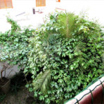 Casa à venda com 3 suítes no condomínio City Recanto Anastácio - Sacra, São Paulo - SP