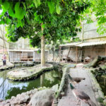 Casa à venda com 11 quartos, sendo 6 suítes, em Taquara, Rio de Janeiro, RJ