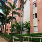 Apartamento à venda com 3 quartos, sendo 1 suíte, em Cambuci, São Paulo, SP
