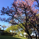 Chácara à venda com 8 quartos, sendo 3 suítes, no Centro, Bom Jesus dos Perdões, SP