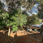 Terreno à venda com 2 quartos em Vila Nivi, São Paulo, SP