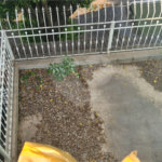 Sobrado à venda com 2 quartos em Parque Edu Chaves, São Paulo, SP