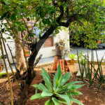 Casa Térrea à venda com 3 quartos, sendo 1 suíte, em Parque Ouro Fino, Sorocaba, SP
