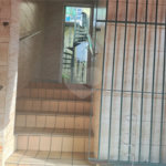 Casa à venda com 2 quartos em Vila Nova Cachoeirinha, São Paulo, SP