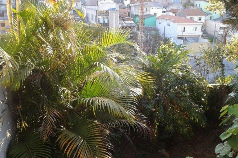 Casa Térrea à venda com 3 quartos, sendo 1 suíte, em Parque Peruche, São Paulo, SP