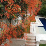 Casa à venda com 3 suítes no condomínio Palm Lane, São Paulo - SP