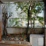 Sobrado à venda com 3 quartos, sendo 1 suíte, em Santana, São Paulo, SP