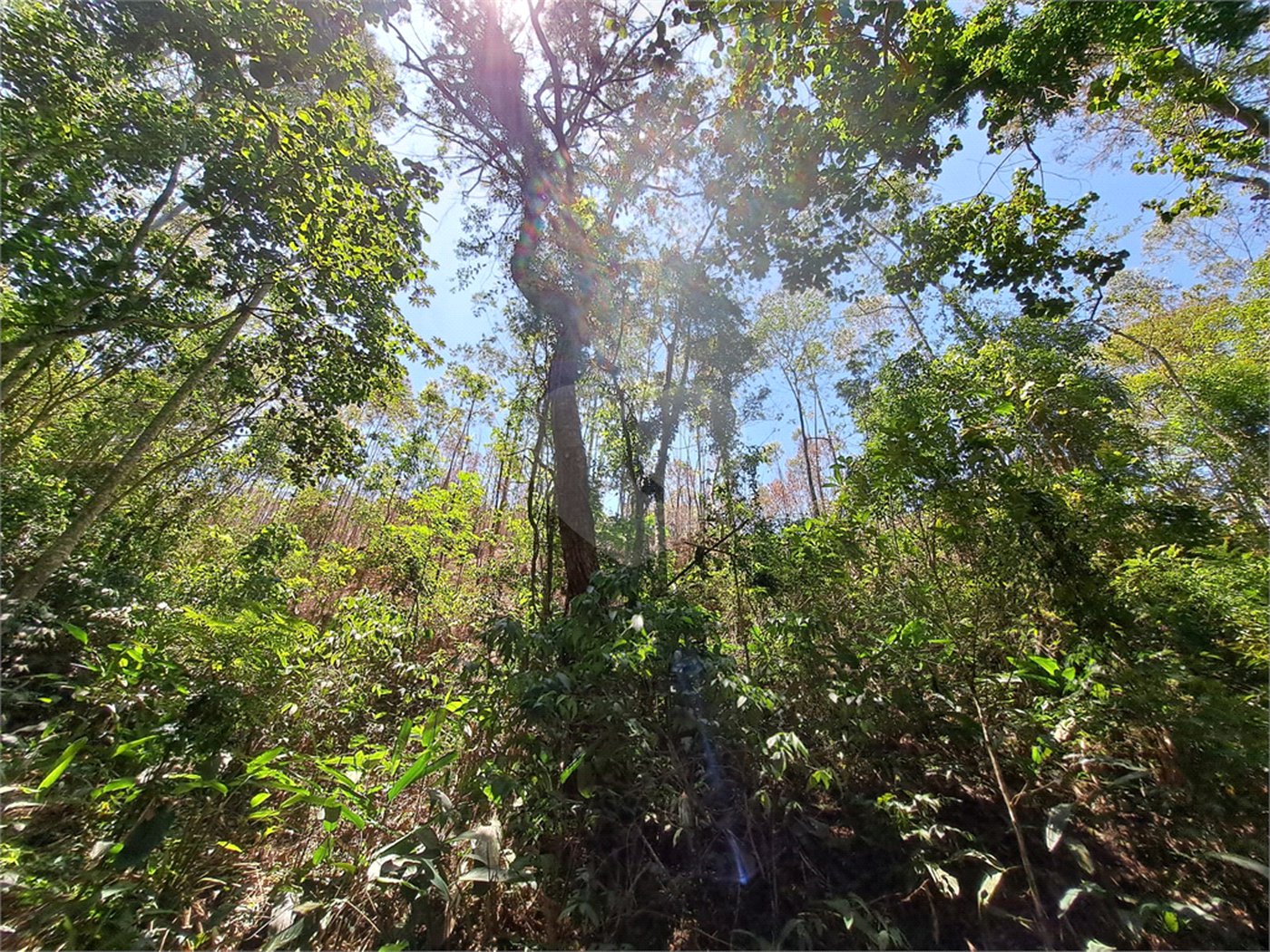 Terreno à venda em Serra da Cantareira, Mairiporã, SP