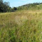 Terreno à venda em Cocuera, Mogi das Cruzes, SP