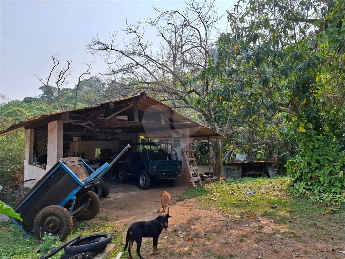 Sítio à venda com 3 quartos, sendo 1 suíte, em Bairro do Cambará, São Roque, SP