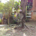 Casa à venda com 3 quartos, sendo 1 suíte,  em Jundiaizinho (terra Preta), Mairiporã, SP