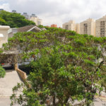 Casa à venda com 4 quartos, sendo 3 suítes,  no condomínio Vila das Flores, São Paulo - SP