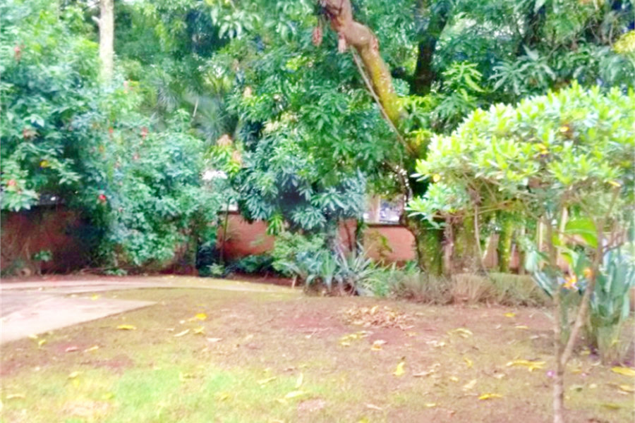 Casa Térrea à venda com 3 quartos, sendo 1 suíte,  em Mandaqui, São Paulo, SP