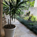 Casa à venda com 3 quartos, sendo 1 suíte, em Tremembé, São Paulo, SP
