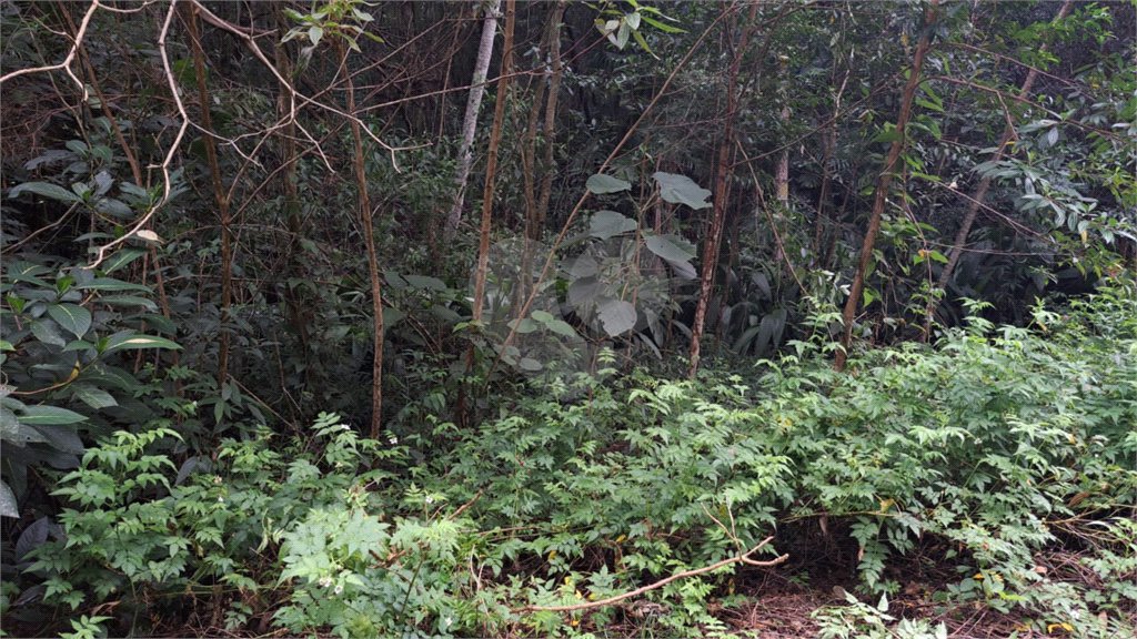 Terreno à venda no condomínio Campos de Mairiporã Gleba 1, Mairiporã - SP