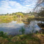 Terreno à venda com 1 quarto em Jardim Camargo (canguera), São Roque, SP