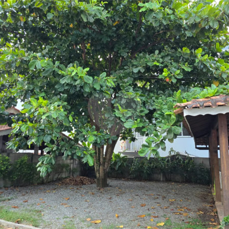 Casa à venda com 2 quartos, sendo 1 suíte, em Ressaca, Atibaia, SP