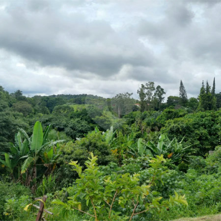 Terreno à venda em Parque dos Cafezais III, Itupeva, SP