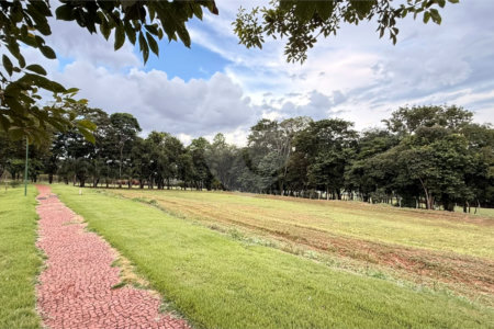 Terreno à venda em Vila do Golf, Ribeirão Preto, SP