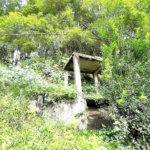 Terreno Residencial à venda, Morro de Nova Cintra, Santos - TE0034.