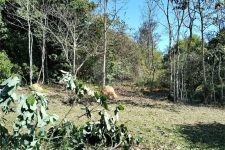 Sítio à venda com 3 quartos, sendo 1 suíte,  em Da Barra, Salto de Pirapora, SP