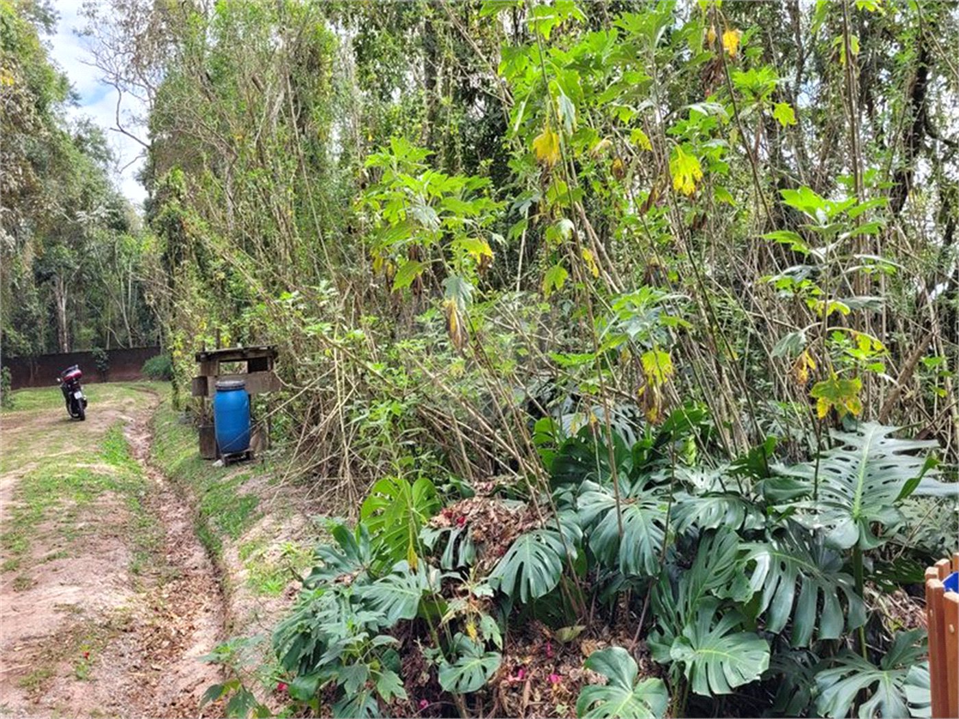 Terreno à venda em Serra da Cantareira, Mairiporã, SP