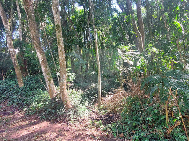 Terreno à venda no condomínio Sausalito, Mairiporã - SP