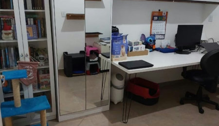 Apartamento Residencial à venda,  Vila Matias, Santos