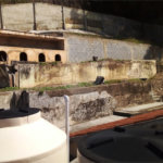 Casa à venda ou para alugar com 5 quartos em Grajaú, Rio de Janeiro, RJ